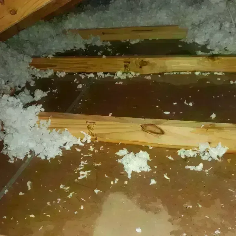 Attic Water Damage in Northcrest, TX