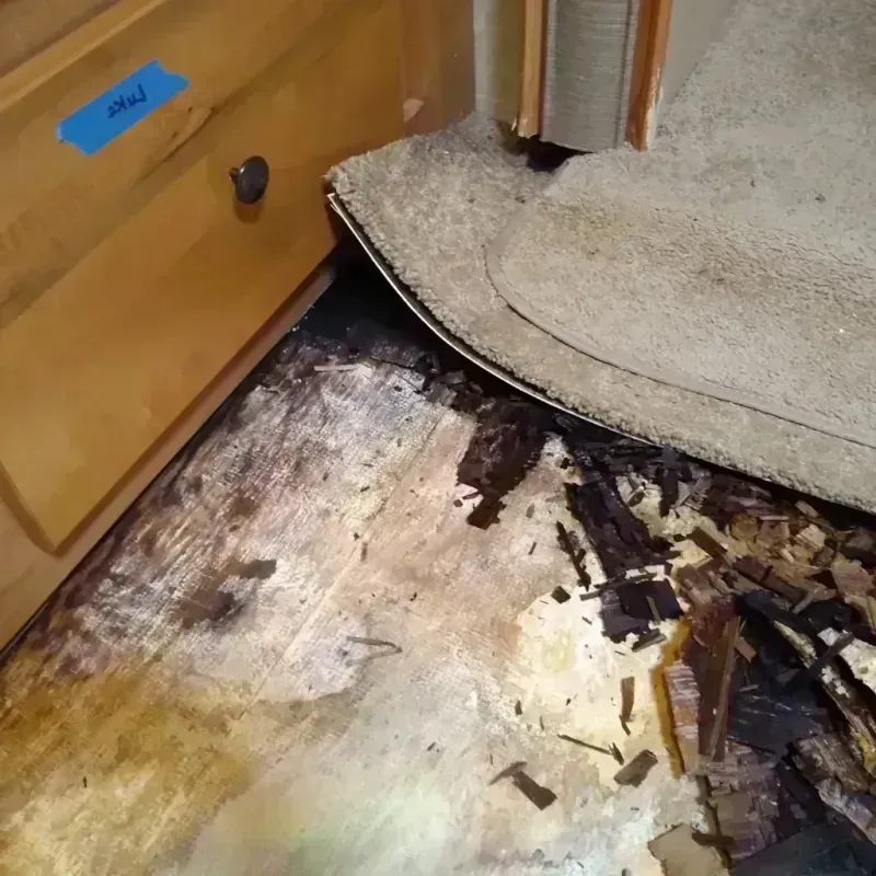 Wood Floor Water Damage in Northcrest, TX